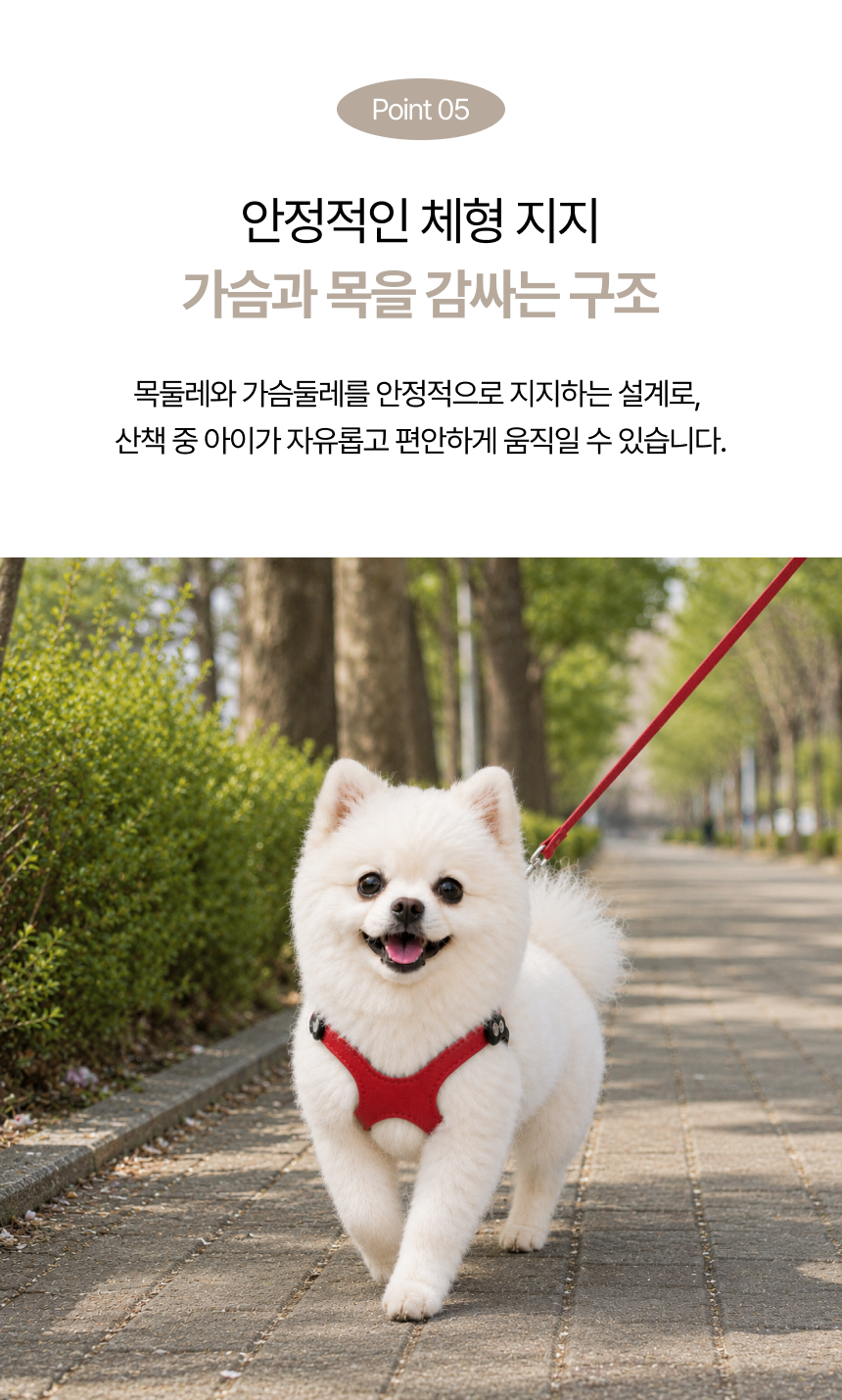 c24cd3f2-7fea-4835-be9f-a2f43b86f88b.png