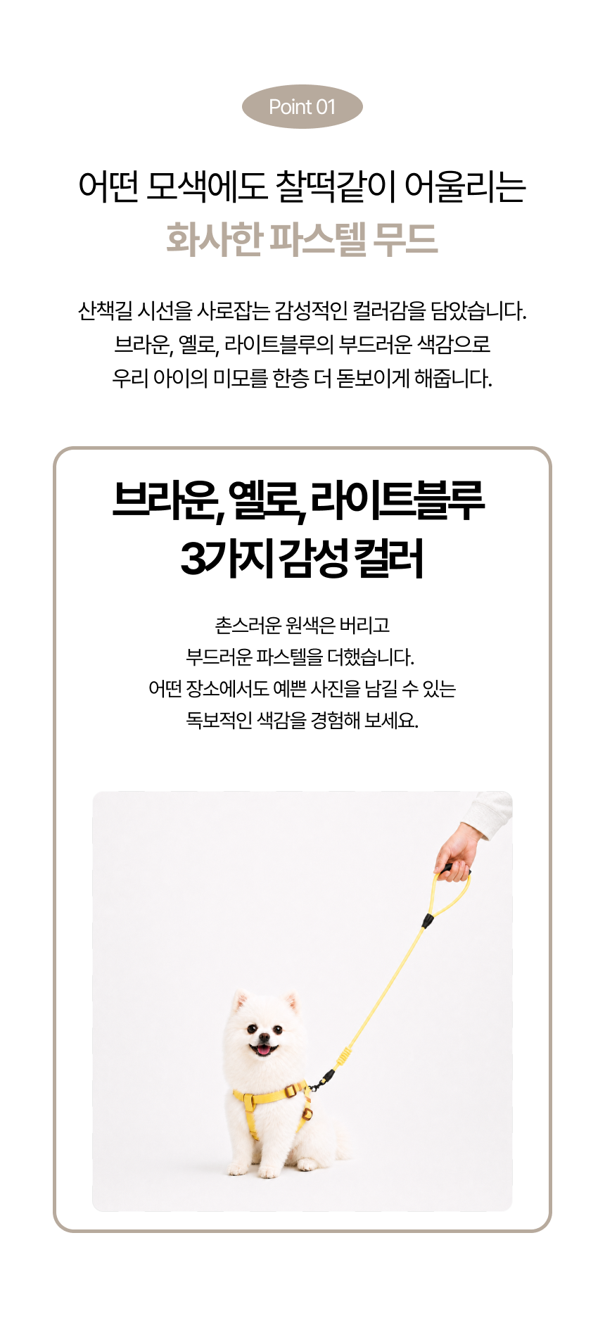 658b70e4-4ef4-42cd-9baf-818f04ac5020.png