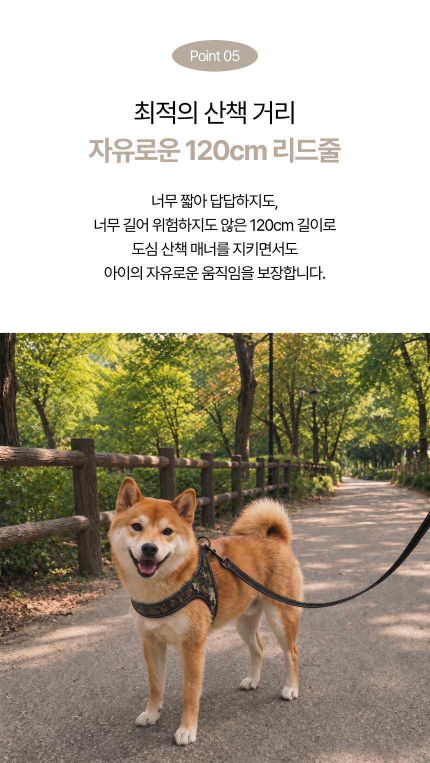 0baf867b-8b96-4e14-8a20-ffdbc7f89675.png