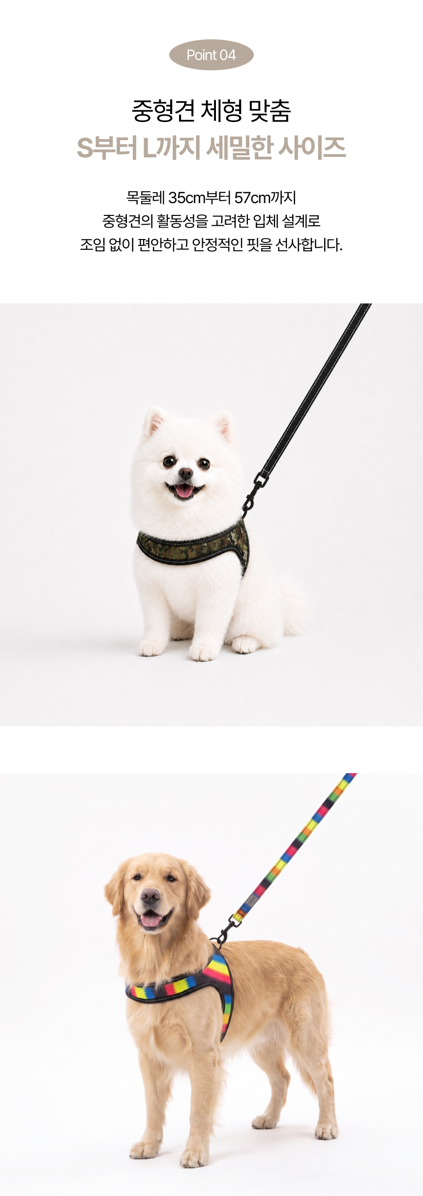 b81d45fb-fcbb-48ad-88bf-a6502961da03.png