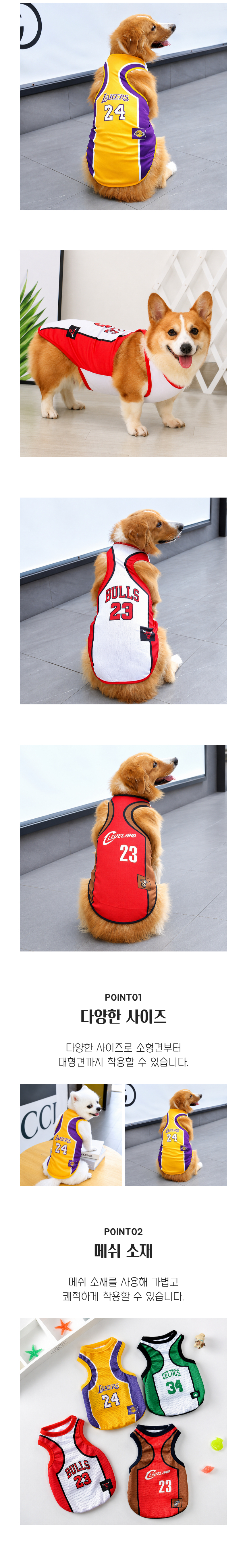 6a17a980a670b.jpg